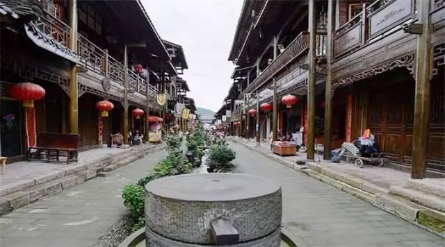 解疑答惑,畅谈生活——铁马鞭冬天黄叶掉叶怎么回事?蜗牛问答平台